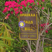 Picture 003
